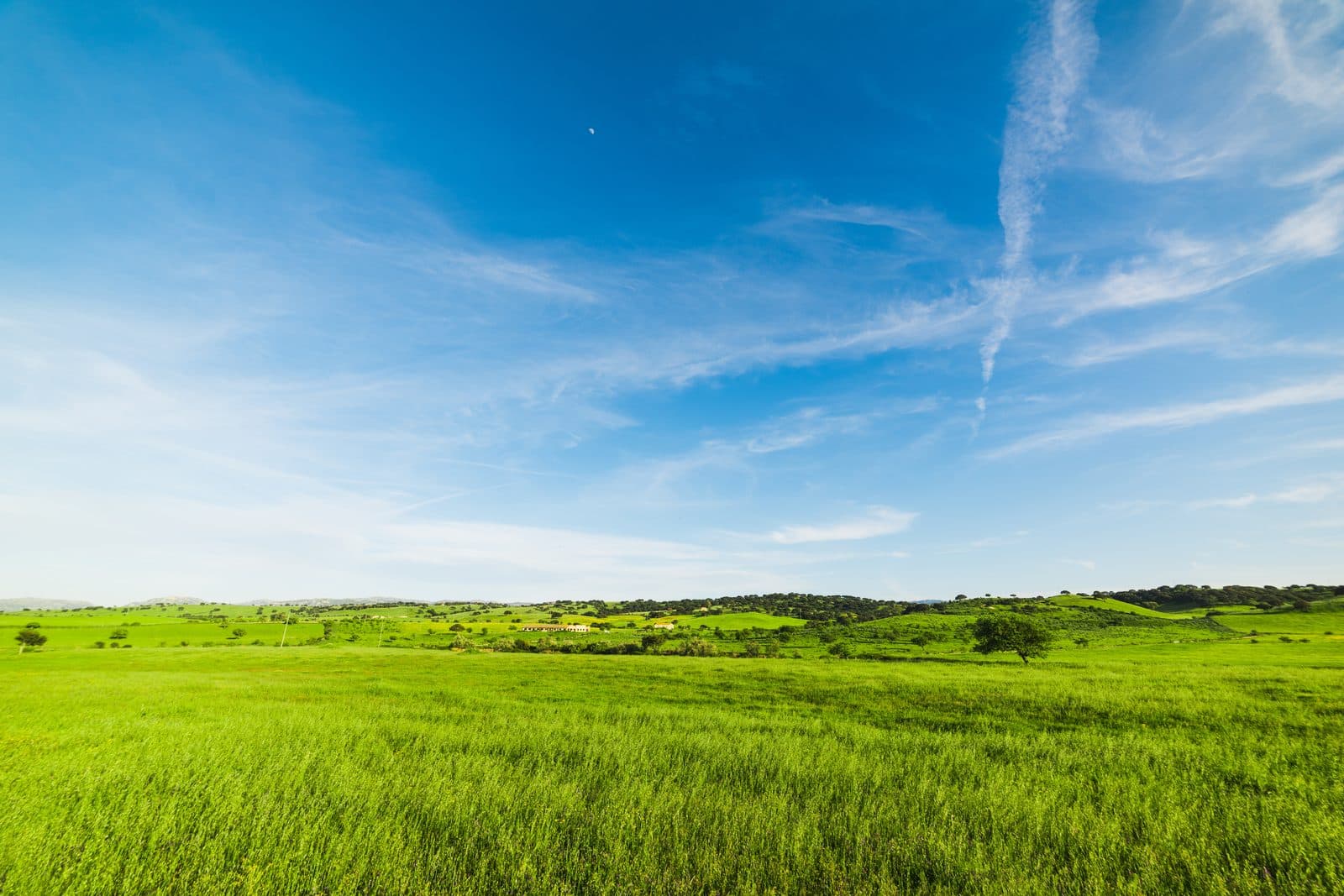 Civil, Land & Tort Law